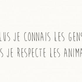 Mot d'animaux