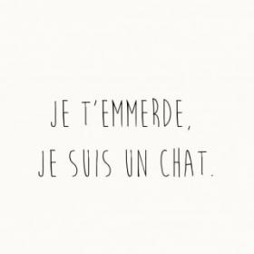 Mot de chat