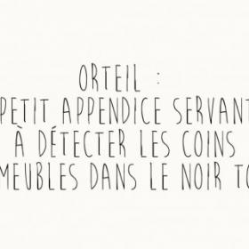 l'Orteil