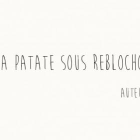 citation 