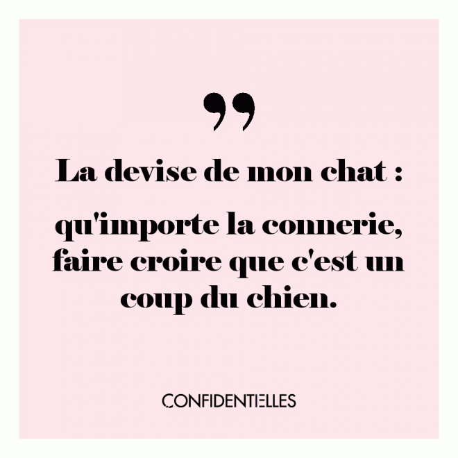 Même s'il n'y a pas de chien ! 🤪 😱